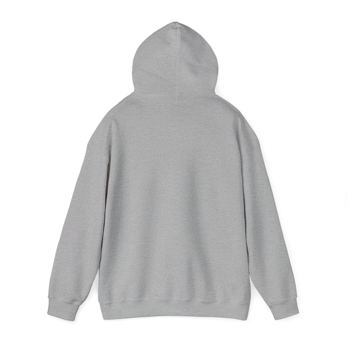 Outfique Campaign 2024 Hooded Sweatshirt | Outfique | Hoodie | DTG